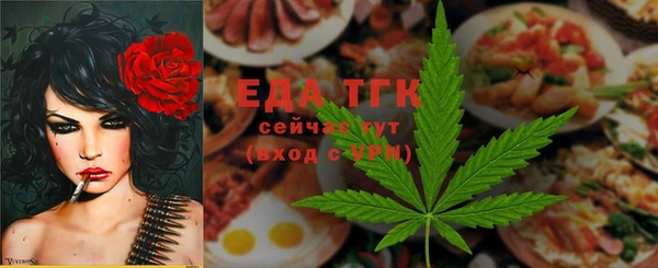 хмурый Аркадак