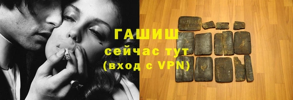 хмурый Аркадак
