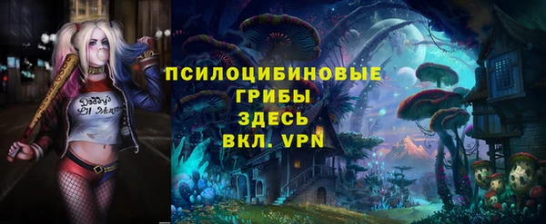 spice Арсеньев