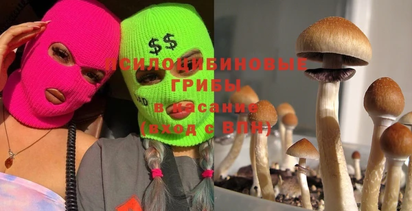 хмурый Аркадак