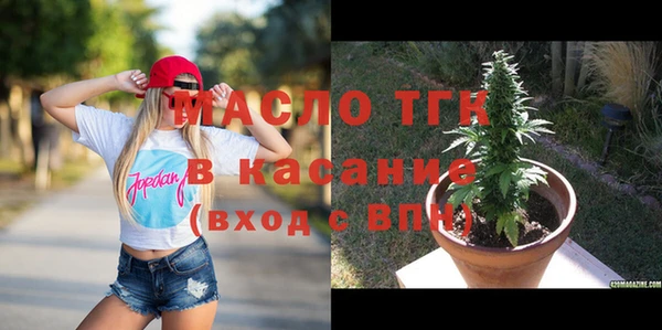 хмурый Аркадак