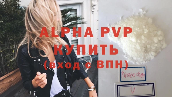 хмурый Аркадак