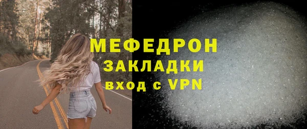 хмурый Аркадак