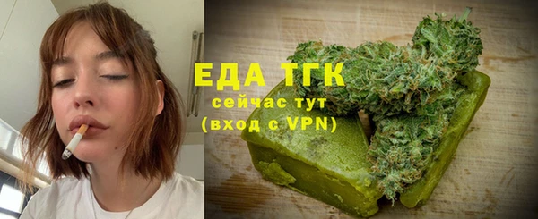 хмурый Аркадак
